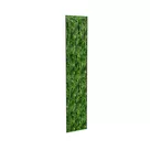 50x250cm - Panel Deco Plant