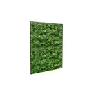 100x125cm - Panel Deco Plant