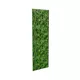 80x250cm - Panel Deco Plant