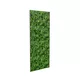 100x250cm - Panel Deco Plant