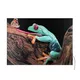 200x250cm - ścienna rama S50T, profil srebrny