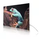 200x250cm - ścienna rama S50T podświetlenie tylne LED, profil srebrny